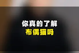 布偶猫一般人可养不起！ #新手养猫 #养宠进阶指南 #萌宠好物 #我和我的猫 #布偶猫