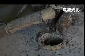 我的纪录电影《老窝》片花 一个直过民族（直接从原始社会过渡到社会主义社会）艰难的脱贫攻坚之路。（2020）#脱贫攻坚#乡村生活#原创作品欢迎点赞评论视频封面