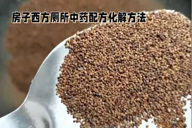 #上热门🔥  #房子西方厕所的中药配方化解方法 #居家环境布局