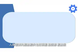 肝脏的主要功能视频封面