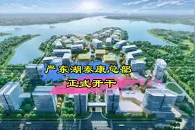 监工：严东湖 泰康总部！#我的城市由我拍 #光谷花山 #严东湖视频封面