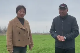 小麦追了不少肥，还是发黄不长是何因？找准原因，对症治疗#小麦发黄#小麦种植 #农民种地不容易 @老丁讲农技（中海精选团队）视频封面