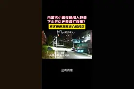 熊出没夜袭小镇 深度后续| 宁静的夜晚小镇闯入“不速之客”，黑熊是有备而来，还是误打误撞？#监控下的一幕 #野生动物零距离 #惊悚 #呼伦贝尔 #注意防范视频封面