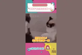沪爷们的精致生活我做梦都不敢想#无人机#上海#灯光秀#上海灯光秀已经nextlevel#梁山传奇视频封面