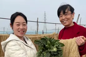粉条烩菜 今天来粉条厂子了，每天都是现做的粉条，晾晒的粉条劲道耐煮，炖上一锅烩菜，太好吃了#粉条烩菜 #粉条视频封面