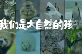 今年4月22日是第55个世界地球日视频封面