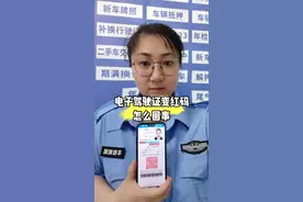 电子版驾驶证标变红码怎么回事#汽车知识#汽车知识 电子版驾驶证#车检姐姐视频封面