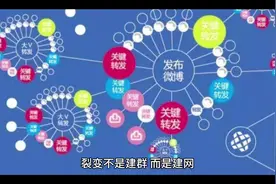 裂变不是建群，而是建网视频封面