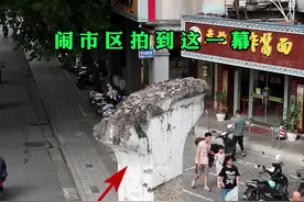 在广西南宁闹市区，拍到两座废弃的桥墩，耸立在马路两边，让人十分好奇，这是干嘛用的#废弃桥墩 #南宁 #广西视频封面