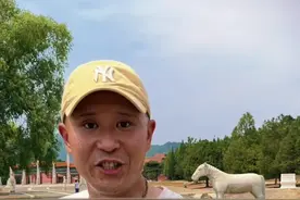 揭晓千古一帝康熙景陵到底隐藏着什么样的秘密，到底有多大？一镜到底一探究竟！#康熙 #古墓 #历史古迹 #清朝