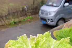 恩施土家卖货郎 第120集 | 拉一车水果零食去恩施土家族大山农村售卖，一天能赚多少钱#记录真实生活 #大山里的生活 #留守老人 #我的乡村生活 #卖货郎视频封面