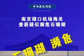 石珊瑚是全球共同保护的濒危野生动物。在我国，即使购买人工珊瑚，也要注意商家是否持有“双证”——《水生野生动物繁育驯养许可证》《水生野生动物经营利用许可证》。