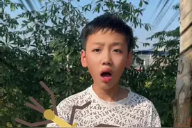 这几种超级会伪装的虫子！千万别拿手里玩 #儿童安全 #孩子教育 #科普知识