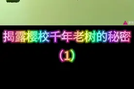 盘点樱校你不知道的恐怖事件。视频纯属娱乐#樱花校园模拟器 #点击解锁樱校联机版新手教学 #知视猫