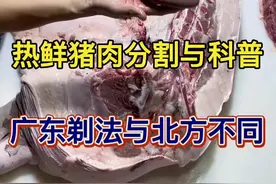 热鲜猪肉分割与科普，个人广东剃法与北方或其他人不同。解压视频 #阿浩教你选猪肉 #左手刀阿浩 #猪肉分割技巧 #教年轻人认识猪肉 #广东视频封面