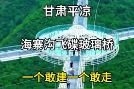 设计师敢想，建筑师敢见，游客敢走，甘肃平凉海寨沟飞碟玻璃桥。 #旅行推荐官 #旅游攻略 #海寨沟 #海寨沟飞碟景观台 #海寨沟玻璃栈道视频封面