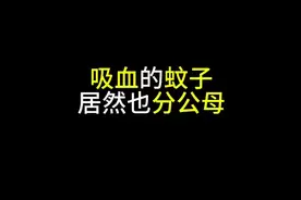 吸血的蚊子居然也分公母？#有趣的知识又增长了 #省流侠视频封面