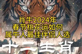 肖牛2024年春节桃花运如何 属牛人最佳伴侣人选#十二生肖#2024牛