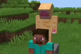 当我的世界加入了小脑切除手术会怎么样！？ #我的世界 #mc #mc不灭 #我的世界模组