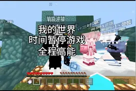 第25集｜我的世界：我的世界时间暂停游戏