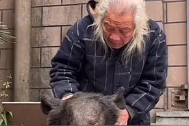 希望大家去动物园的时候都可以文明观赏#罗爷爷的动物园 #凤凰山动物园视频封面