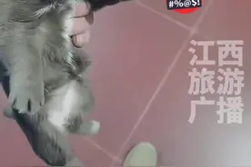 快递员收养被拒收的小狗 #暖心 #小狗乖乖视频封面