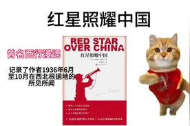 一分钟速读《红星照耀中国》如有错误，请大家指出#猫咪meme视频封面