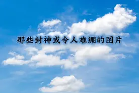 那些封神或令人难绷的图片###神图 #魔性照片视频封面