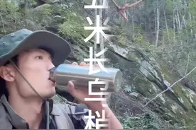 我再问你们一遍，你们说的是认真的吗😦欢迎来打我脸 教我做人#蛇类科普视频封面
