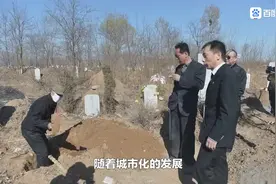 坟墓补偿标准视频封面