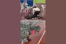 6月22日（受访），江苏常州，#常州输球导致“小恐龙”被气晕？恐龙园回应：系机械恐龙出故障，已完成修复（上游新闻记者 赵映骥）#苏超 #中华恐龙园 #常州VS南京视频封面