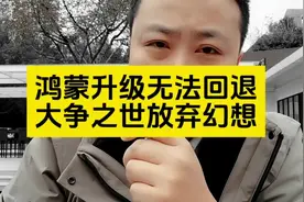 鸿蒙升级无法回退！大争之世放弃幻想！ #华为 #鸿蒙