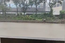 给你们看下杭州湾大风，千万别出门#杭州湾跨海大桥 #台风