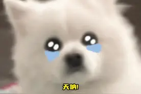 雨琦请粉丝吃饭的卡是她自己去店里办的😭好真诚，好用心！#宋雨琦 #gidle视频封面