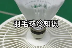 #羽毛球 冷知识 打羽毛球能脱单？ #羽毛球混双 #新碳音PRO #神速影刃