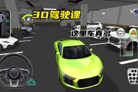 #233乐园 #3d驾驶课 #模拟游戏 这里车真多啊