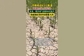 河南将迎43℃高温天气