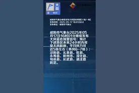 咸阳市气象台继续发布大风蓝色预警[Ⅳ级/一般]视频封面