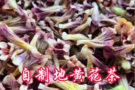 自制纯天然野生地黄花养生茶，大自然的赠品，功效自己查