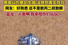 原本以为是AI生成，没想到真实存在。网友：好熟悉，这不是敖丙二叔敖顺。蓝龙：人类啊，我来陪你们玩玩；视频封面