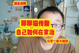 2024治猫传腹，我知道的几种药。(仅供参考)#猫传腹 #猫传腹用药