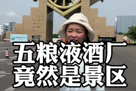 走进五粮液酒厂，竟然是一个4A级景区，里面真是大到连快递都害怕#四川旅游 #跟着龙妹玩四川视频封面