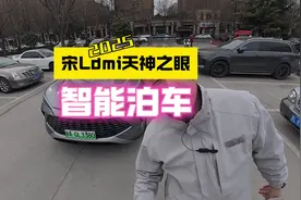 2025宋Ldmi天神之眼智能泊车！#比亚迪全民智驾 #宋Ldmi天神之眼视频封面