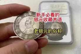新手必看的银元收藏术语：各种老银元的俗称
#银元 #收藏爱好者视频封面