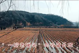 “一把老镢头”的收藏天地