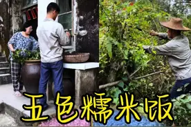 广西“壮乡”三月三特色美食“五色糯米饭”你家今年做吗？#新农人计划2025 #广西三月三大家一起嗨 #我的乡村生活 #小唐曾农村生活 #地方特色美食视频封面