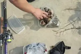 为什么地方大于国家 #一起为钓鱼发声 #钓鱼那些事 #钓炸天