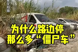 为什么现在路边的僵尸车越来越多，背后原因让人心酸#每天一个用车知识 #汽车知识 #僵尸车视频封面
