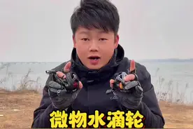 强力精细微物水滴轮对比，适合钓鳜鱼鲈鱼的精细水滴轮 #水滴轮#微物水滴轮 #路亚抛投 #黑坑路亚#路亚鳜鱼视频封面