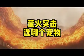 萤火突击只能选一个宠物，那就是爱丽丝#萤火突击